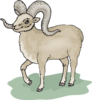 Gray Bighorn Sheep Clip Art